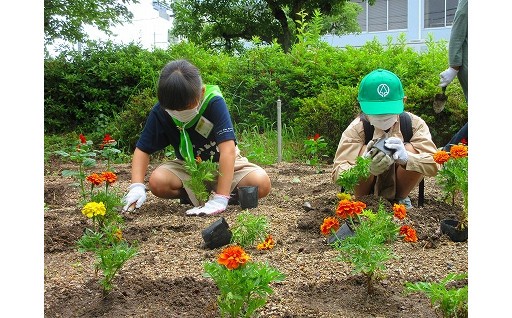 3-1.環境保全に関する事業
