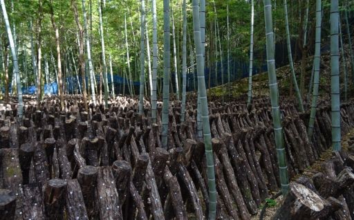 産業の振興に関する事業