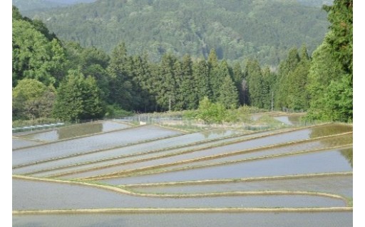 ⑥地域の環境整備・景観維持管理事業