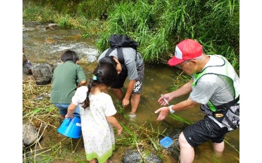 ⑬水源・水道施設維持管理事業