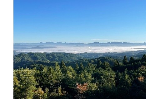 ⑫景観・環境保全事業