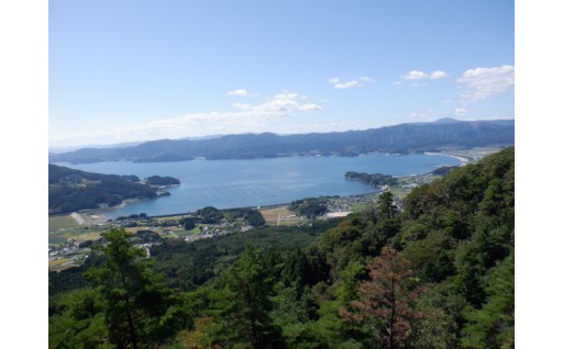 (6) その他まちづくりのために必要な事業（市長におまかせ）