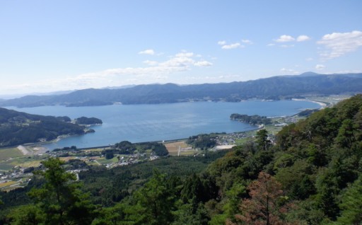 (6) その他まちづくりのために必要な事業（市長におまかせ）