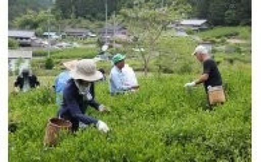 地域資源と産業を活かすまちづくり