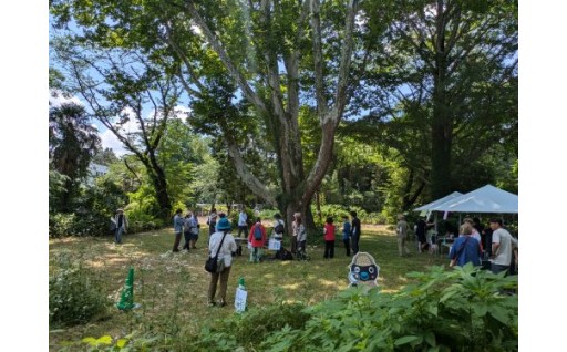 700種のいのちが暮らす世田谷の樹林地を育もう！