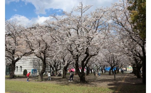 市民生活の質の向上に関する事業