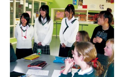 大阪市立学校園を指定した寄附金（備考欄に大阪市立学校園名を1か所記入してください。）