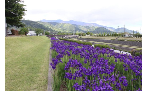 自然とともに、快適で住みよいまちづくり