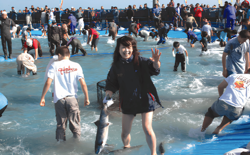 健康でいきいきした暮らしを創る