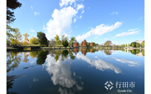 水城公園しのぶ池の水をぜんぶ抜く！！～お掃除大作戦～