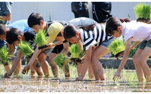 4　綾町の次代を担う青少年育成事業 